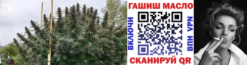 МЕГА онион  Мончегорск  Дистиллят ТГК Wax 