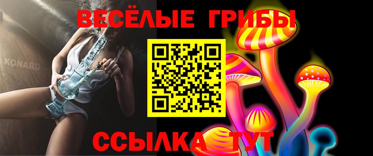 Галлюциногенные грибы Psilocybine cubensis  Вход с VPN  Галлюциногенные грибы GOLDEN TEACHER  Мончегорск 